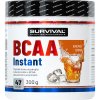 Survival BCAA Instant - 300 g, meloun