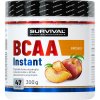 Survival BCAA Instant - 300 g, pomeranč