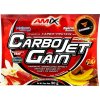 Amix CarboJet Gain - 20x 50 g, vanilka