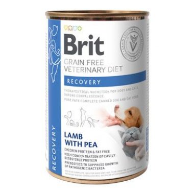 Brit VD Dog+Cat GF konz. Recovery 400 g